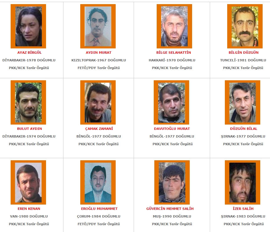 Aranan teröristler' listesi yenilendi! galerisi resim 13