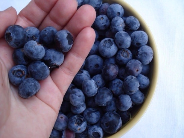 Kahvaltıda mutlaka tüketilmesi gereken gıdalar galerisi resim 10