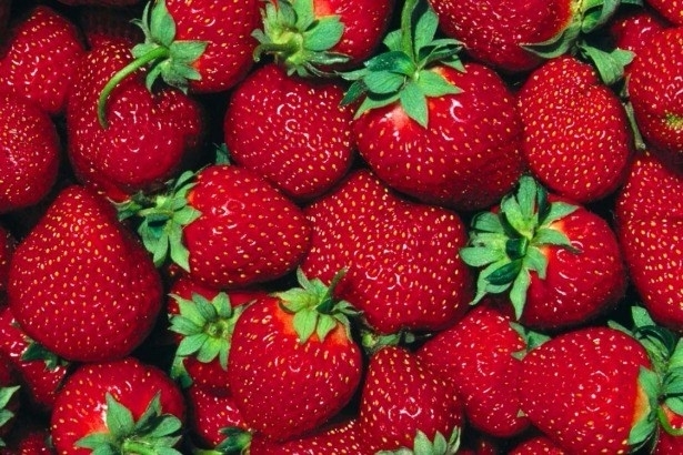 Kahvaltıda mutlaka tüketilmesi gereken gıdalar galerisi resim 12