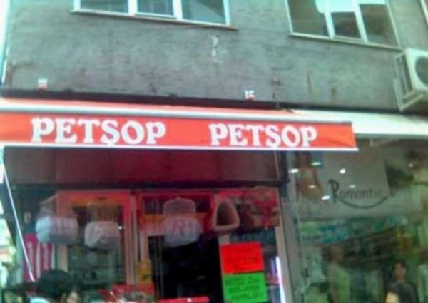 Türk'ün İngilizceyle İmtihanı galerisi resim 16