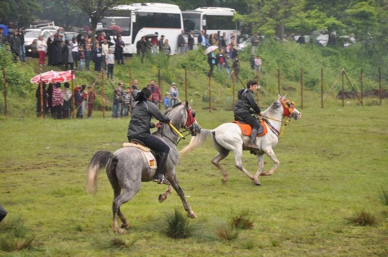 DADAŞLAR 10. PİKNİK ŞÖLENİNDE BULUŞTU galerisi resim 13