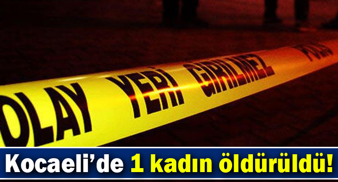Ocak ayında 27 kadın,Gebze’de ise 1 kadın öldürüldü!