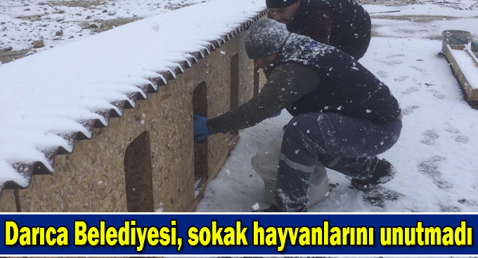 SEVİMLİ DOSTLARIMIZ İÇİN BESLENME NOKTALARI OLUŞTURULDU