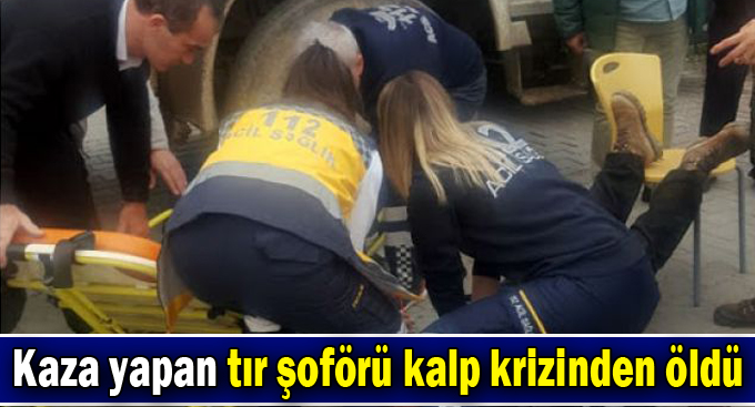 Dilovası'nda kaza yapan tır şoförü kalp krizinden öldü