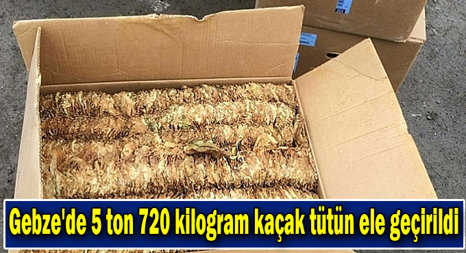 Gebze'de 5 ton 720 kilogram kaçak tütün ele geçirildi