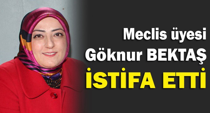 Meclis Üyesi Göknur Bektaş İstifa Etti!
