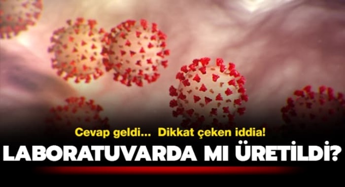 Korona virüs laboratuvarda mı üretildi? Cevap geldi...