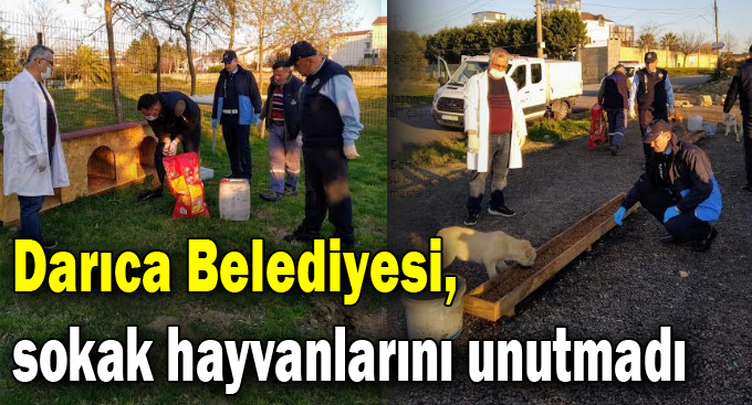 Siz evde kalsanız da biz sevimli dostlarımızı unutmuyoruz