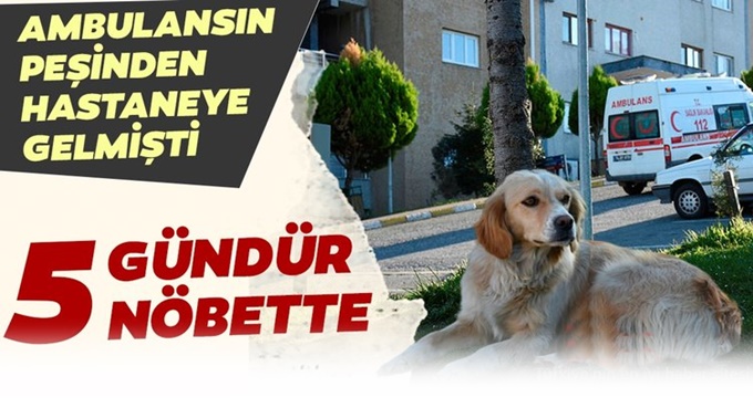 5 Gündür hastane önünde bekliyor