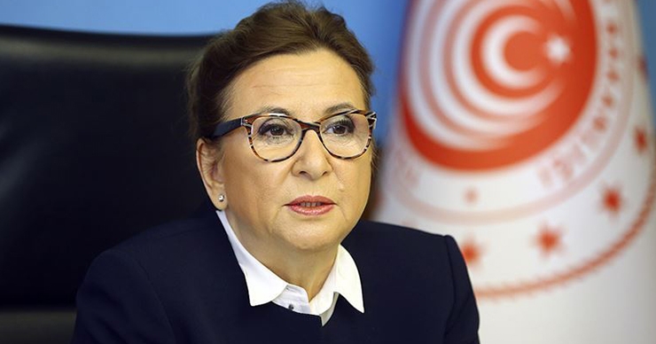 Pekcan,Yurt dışına çıkabilecekler