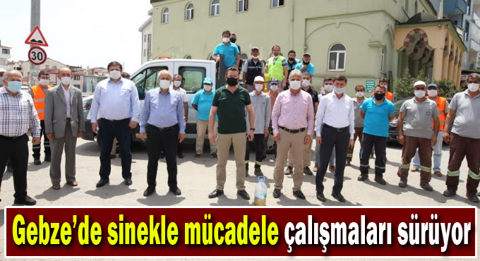 Gebze’de Sinekle Mücadele Çalışmaları Sürüyor