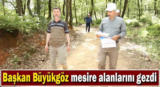 Başkan Büyükgöz mesire alanlarını gezdi