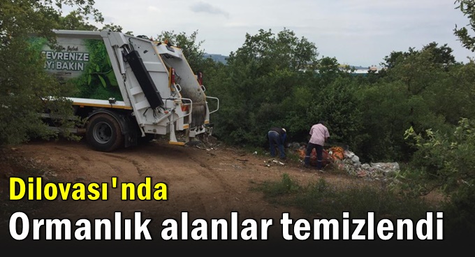 Dilovası’nda ormanlık alanlar temizlendi