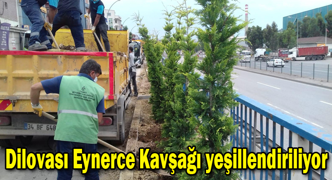 Dilovası Eynerce Kavşağı yeşillendiriliyor