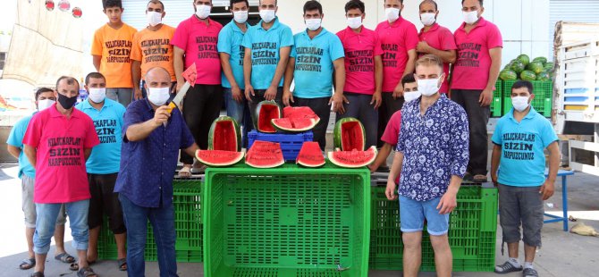 Doğu Marmara’nın karpuzları Kocaeli’den gidiyor