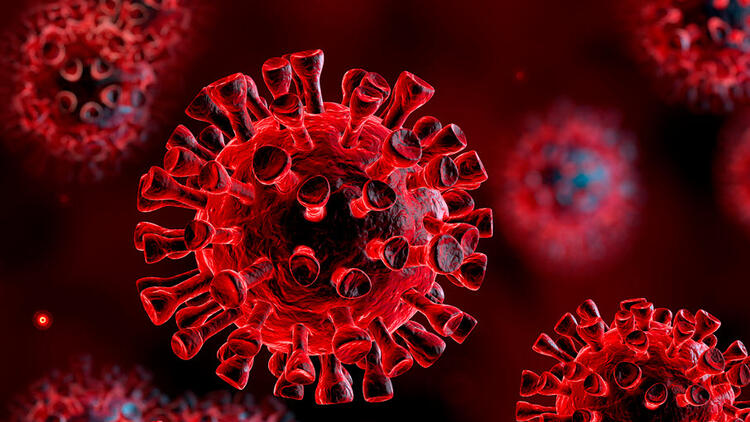 Virüs Kocaeli'de pik yaptı