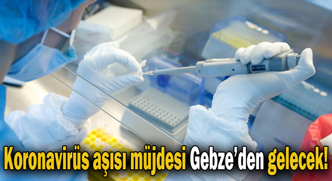 Koronavirüs aşısı müjdesi Gebze’den gelecek!