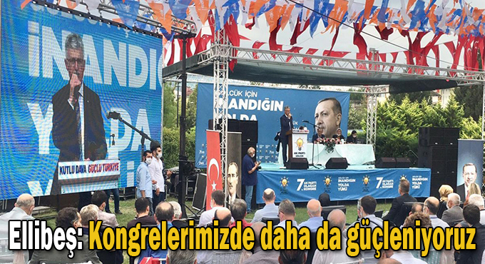 Ellibeş: Kongrelerimizde daha da güçleniyoruz