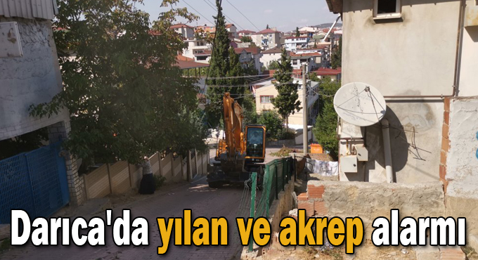 Darıca'da yılan ve akrep alarmı