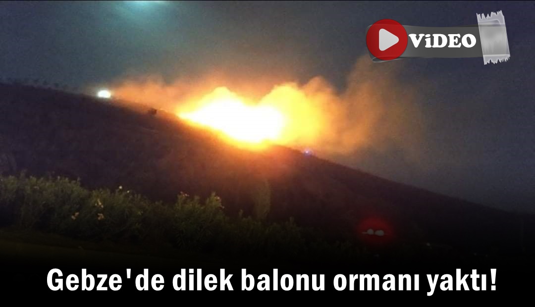 Gebze'de dilek balonu ormanı yaktı!