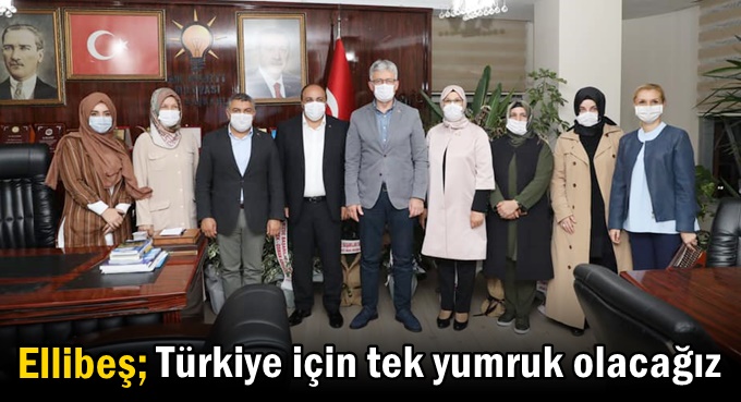 Ellibeş: Türkiye için tek yumruk olacağız