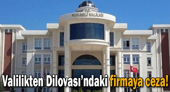 Kömür firmasına koku ve gaz cezası