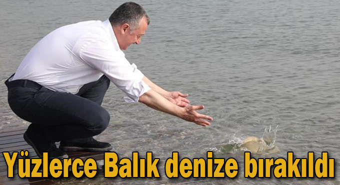 Yüzlerce balık denize bırakıldı