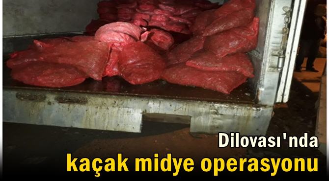 Dilovası'nda 250 çuval midye yakalandı!