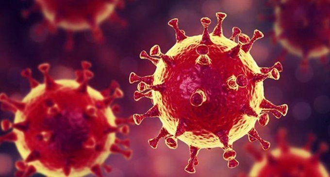 Bölgemizde 504 yeni vaka!