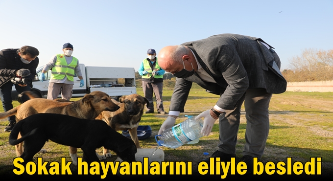 Başkan Bıyık, sokak hayvanlarını eliyle besledi
