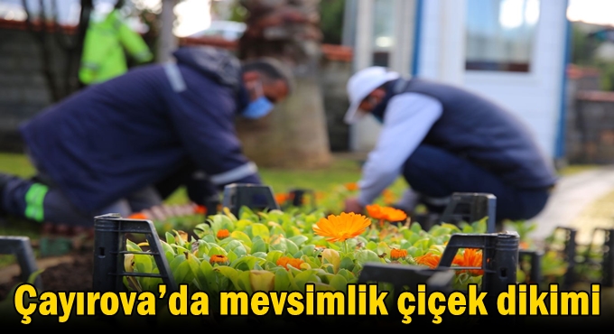 Çayırova’da mevsimlik çiçek dikimi