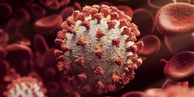 Mutasyonlu virüs bir ülkeye daha sıçradı