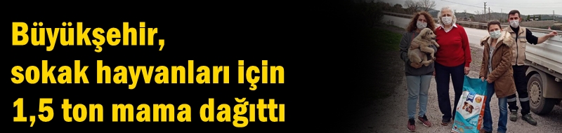 Büyükşehir, sokak hayvanları için 1,5 ton mama dağıttı
