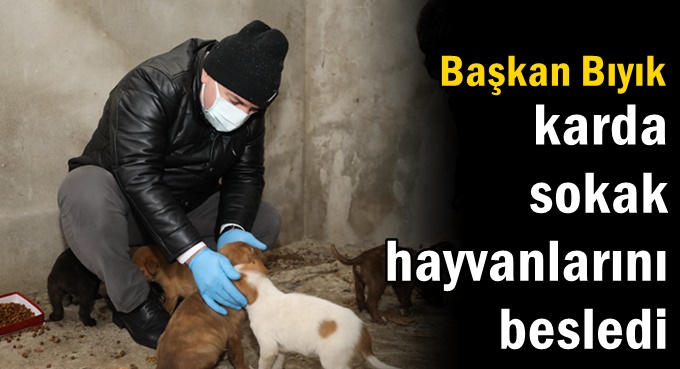 Başkan Bıyık, karda sokak hayvanlarını besledi