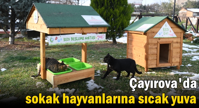 Çayırova'da sokak hayvanlarına sıcak yuva