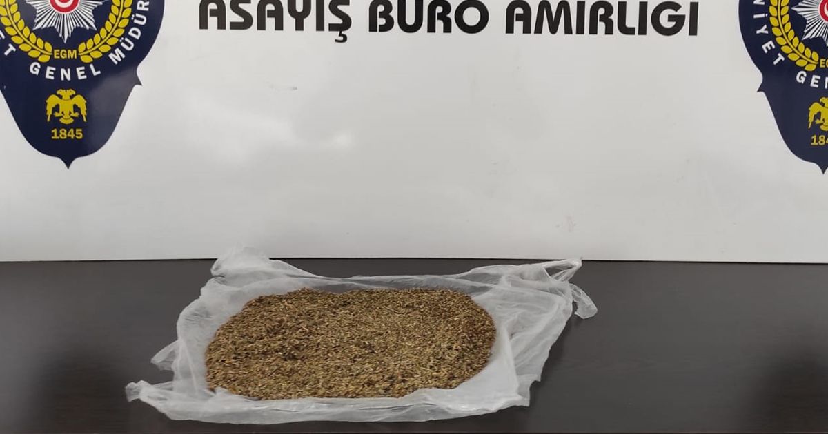 98 gram bonzai ile yakalandı!