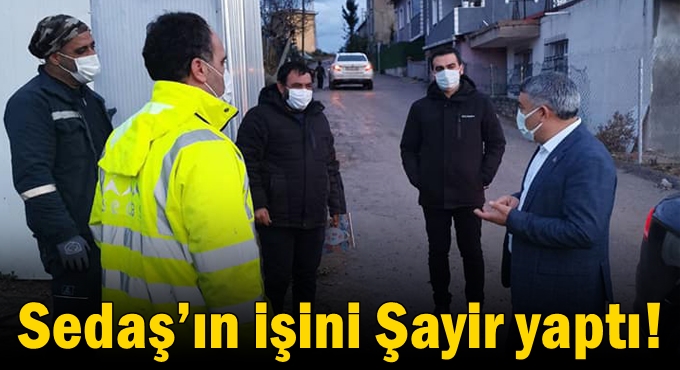 Sedaş’ın işini Şayir yaptı!