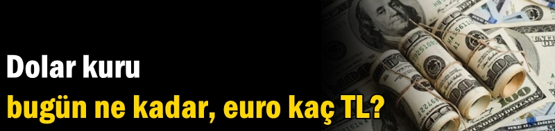 Dolar kuru bugün ne kadar, euro kaç TL?