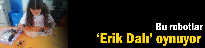 Bu robotlar ‘Erik Dalı’ oynuyor