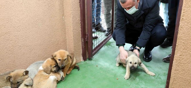 Büyükakın, ‘’2021 yılı için 120 ton mamamız hazır’’