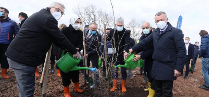 Sağlık çalışanlarına hatıra ormanı