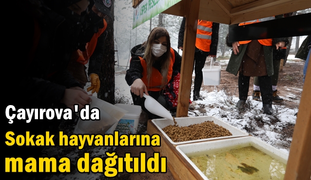 Sokak hayvanlarına mama dağıtıldı