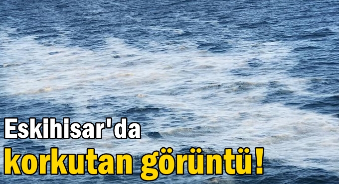 Eskihisar'da korkutan görüntü!