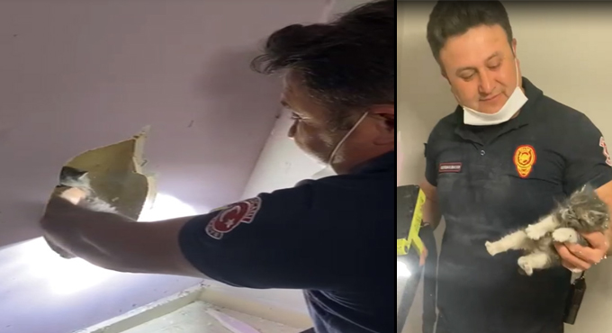 Havalandırma boşluğunda mahsur kalan kediyi itfaiye kurtardı