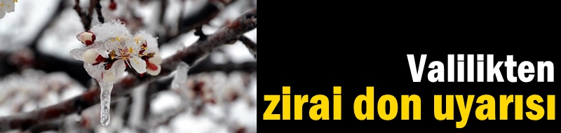 Valilikten zirai don uyarısı