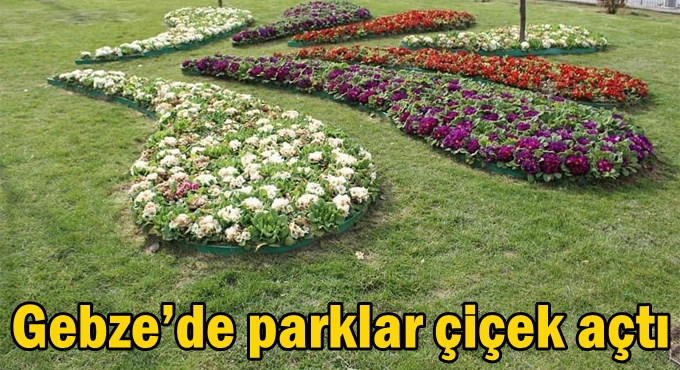 Gebze’de parklar çiçek açtı