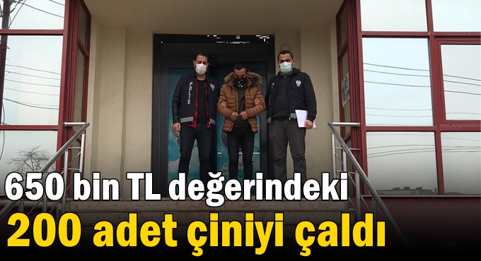 650 bin TL değerindeki 200 adet çiniyi çaldı