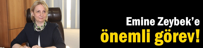 Emine Zeybek’e önemli görev!