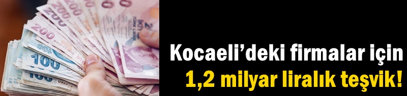 Kocaeli’deki firmalar için 1,2 milyar liralık teşvik!
