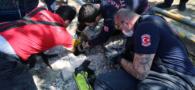 Anne köpek uyardı, Kocaeli itfaiyesi kurtardı